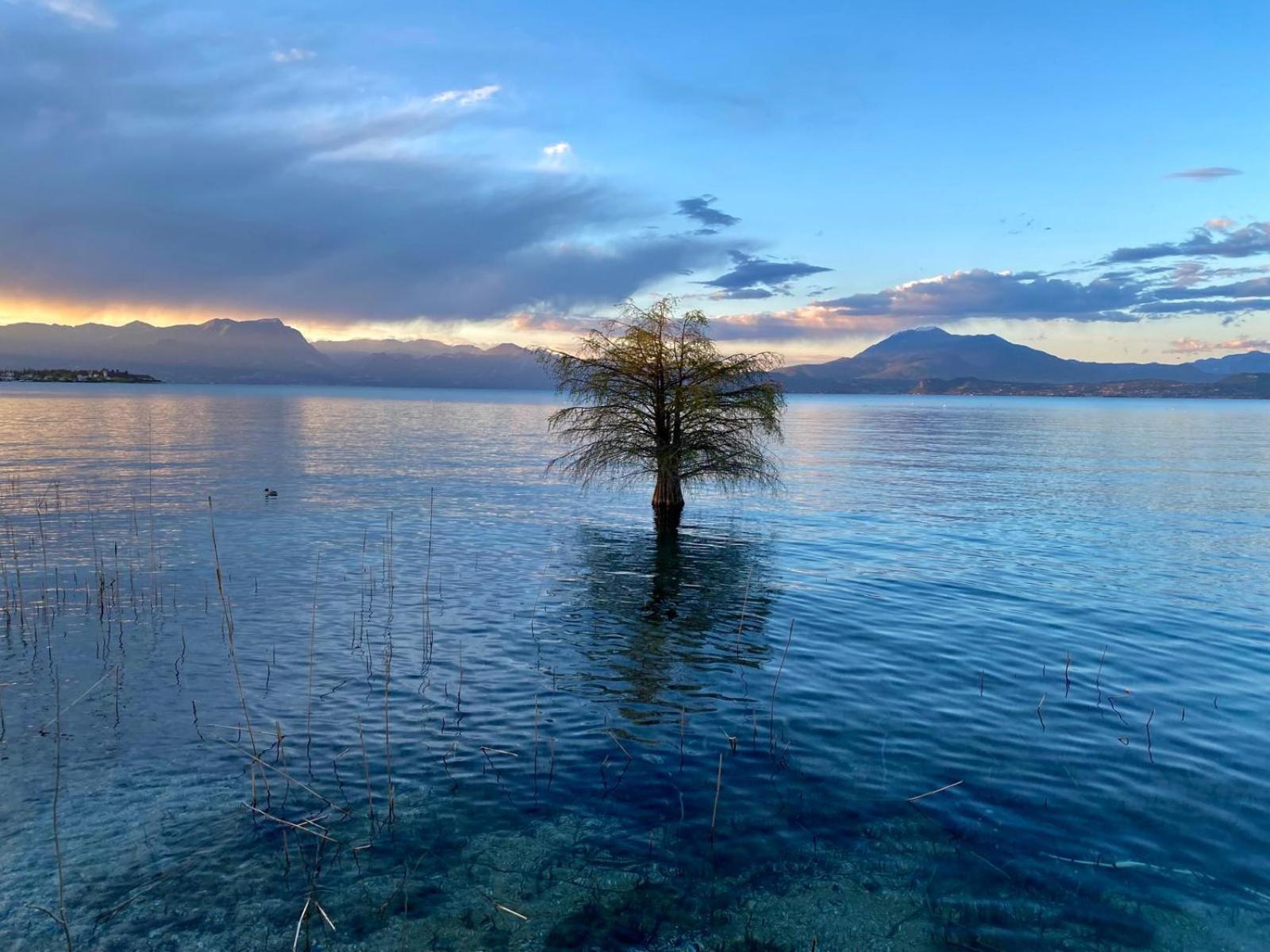 Green Apartment And Pools Desenzano del Garda Ngoại thất bức ảnh